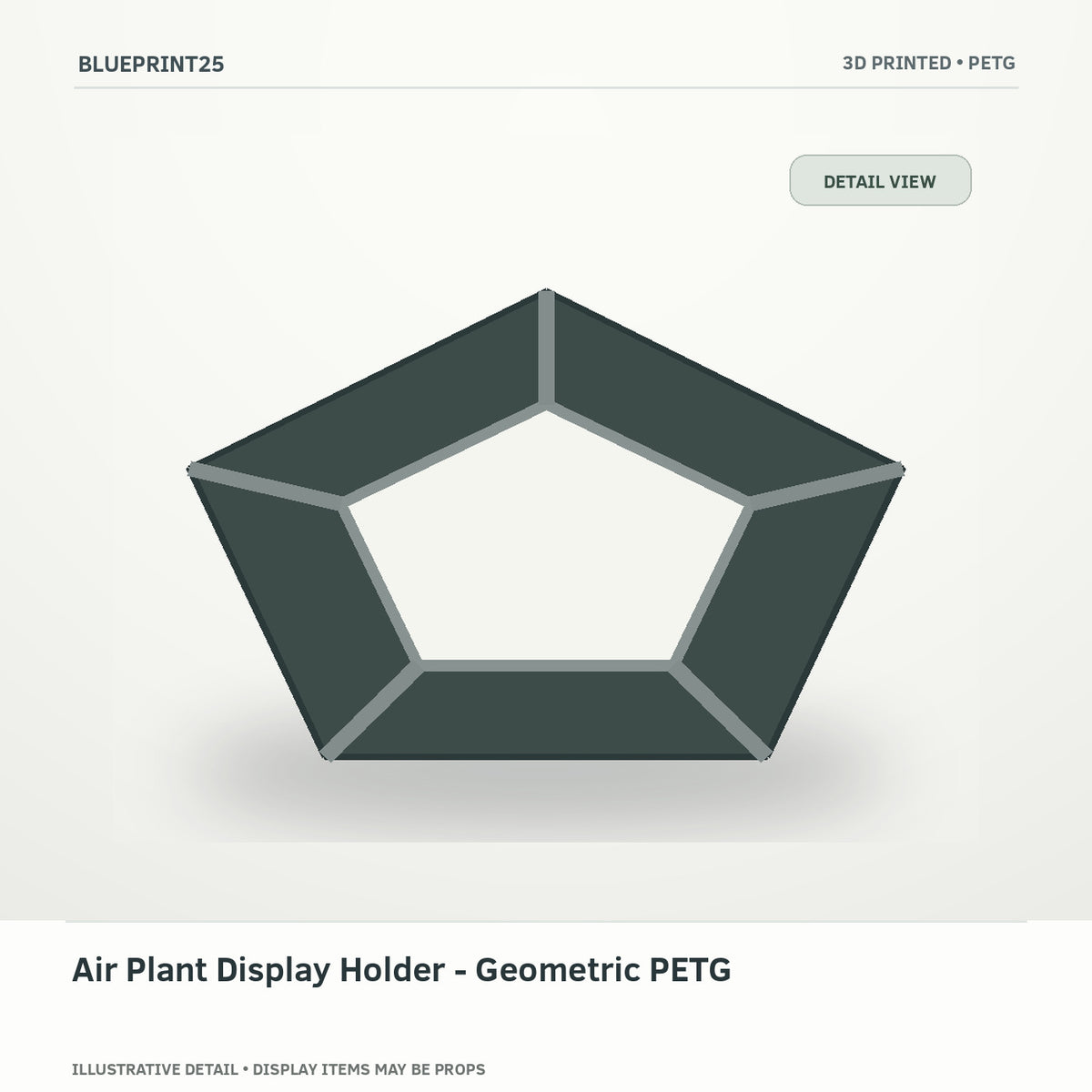 Air Plant Display Holder - Geometric PETG illustrative concept, detail view; final physical design has not been confirmed.