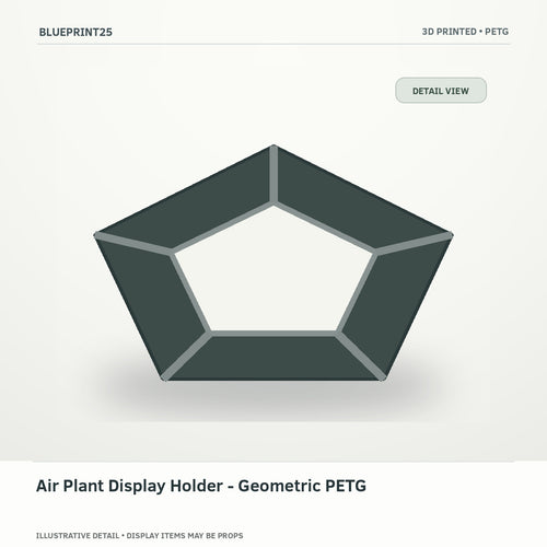 Air Plant Display Holder - Geometric PETG illustrative concept, detail view; final physical design has not been confirmed.