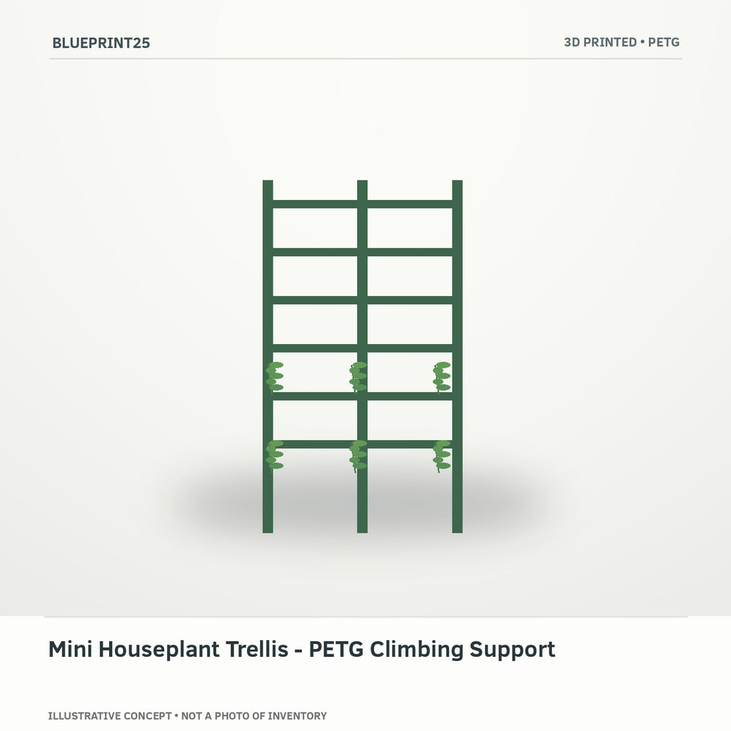 Mini Houseplant Trellis - PETG Climbing Support illustrative concept, main view; not a photo of finished inventory.